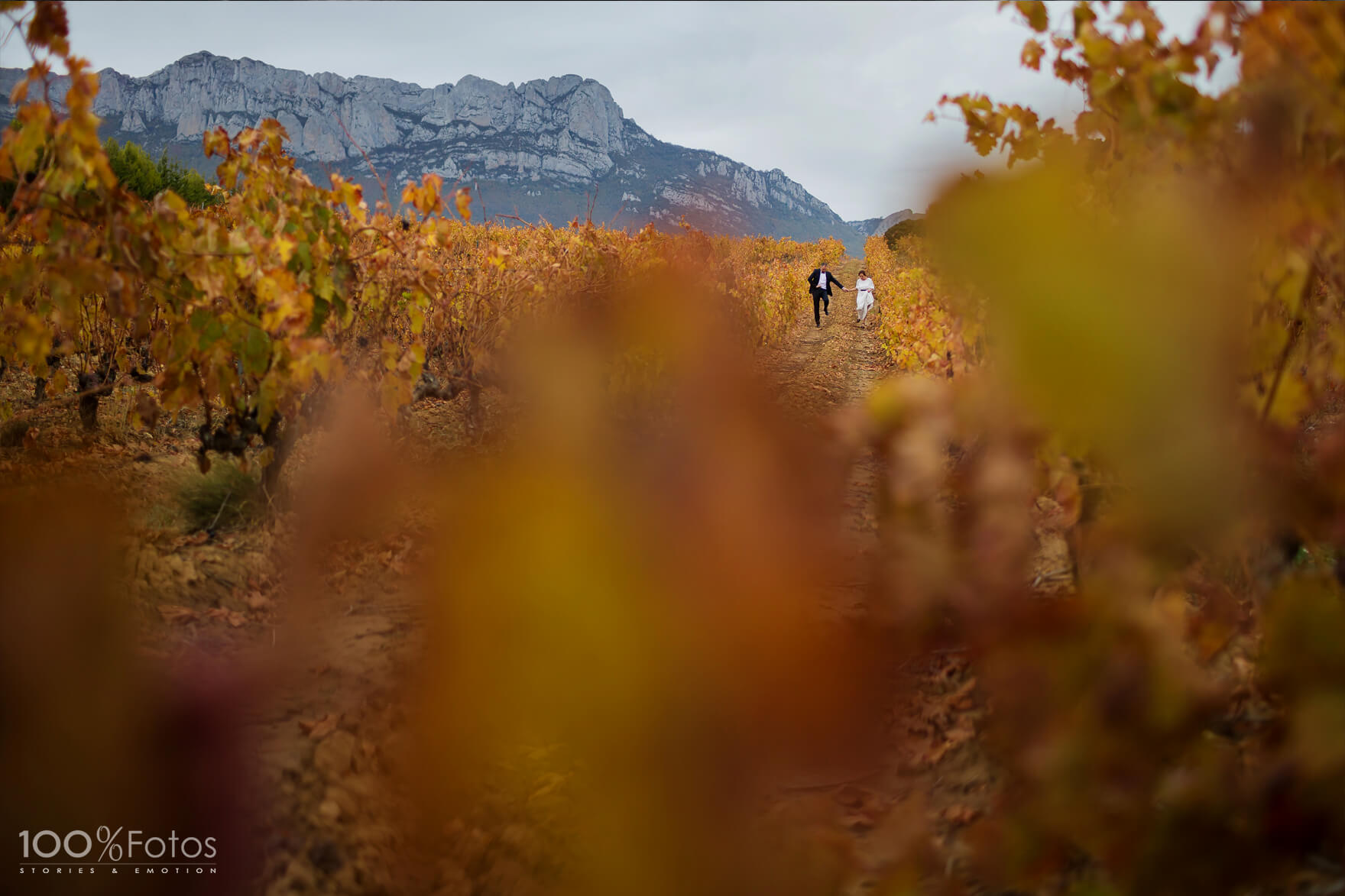 Bodas con encanto en la bodega Eguren Ugarte. La Rioja