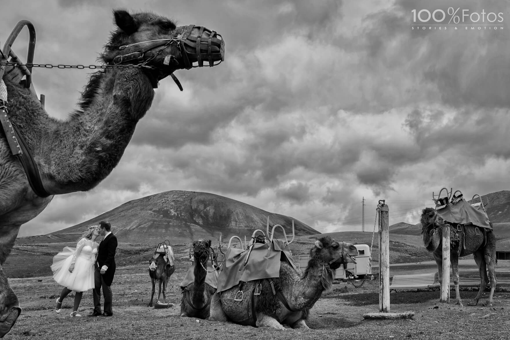 Wedding Photographer Lanzarote 