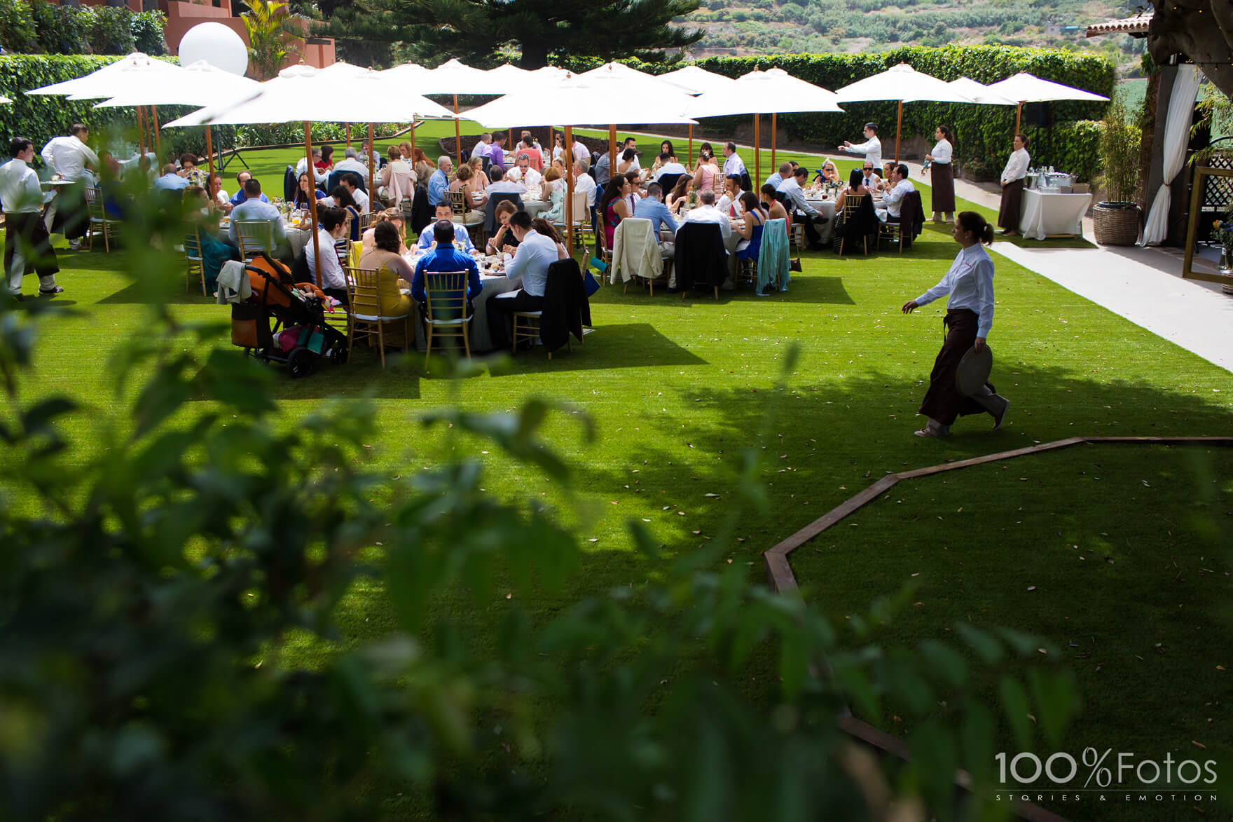 Boda Finca los Pinos - Gran Canaria